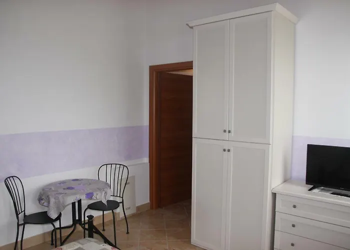 Oasi