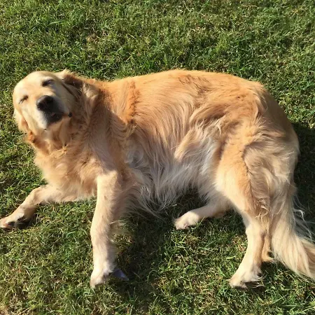 Oasi 3* San Giorgio di Piano