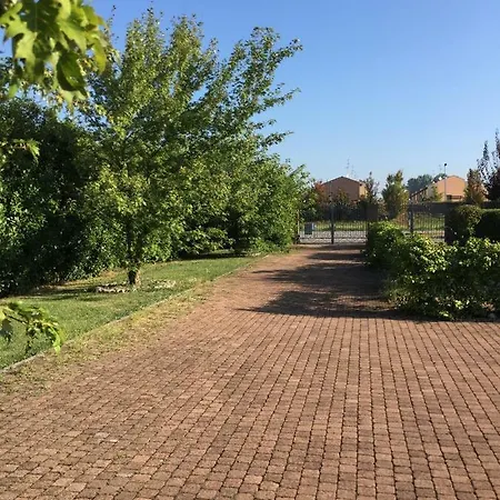 Oasi Отель типа 