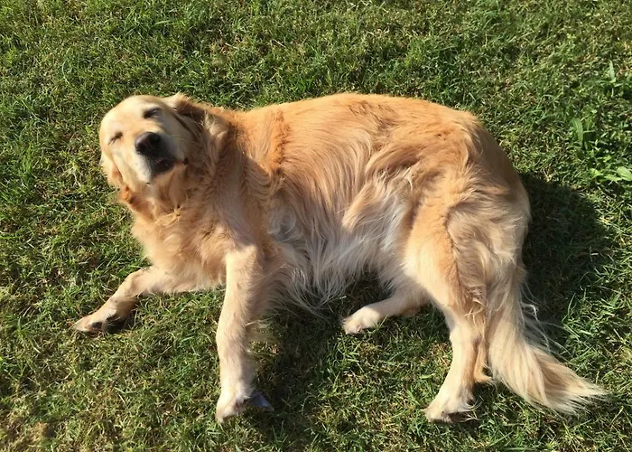 Oasi 3* San Giorgio di Piano